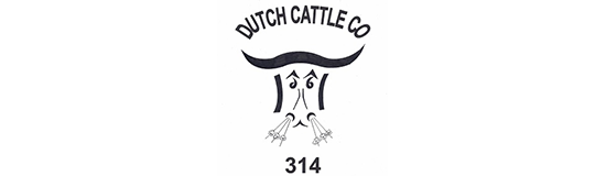 dutch-cattle